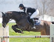 De Simone Camille TosTour2013- S5 2113 : Arezzo, Arezzo Equestrian Centre, Camille, De Simone Rossella, Toscana Tour 2013, foto di Stefano Secchi ©